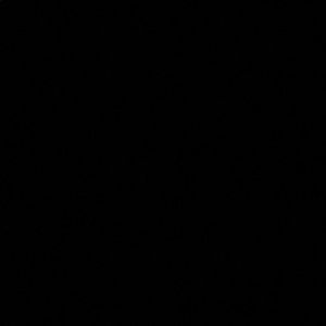 Meet your Posher, Neha